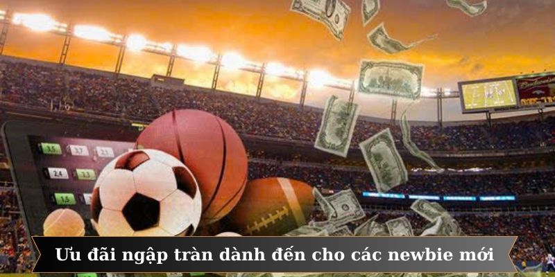 Ưu đãi ngập tràn dành đến cho các newbie mới